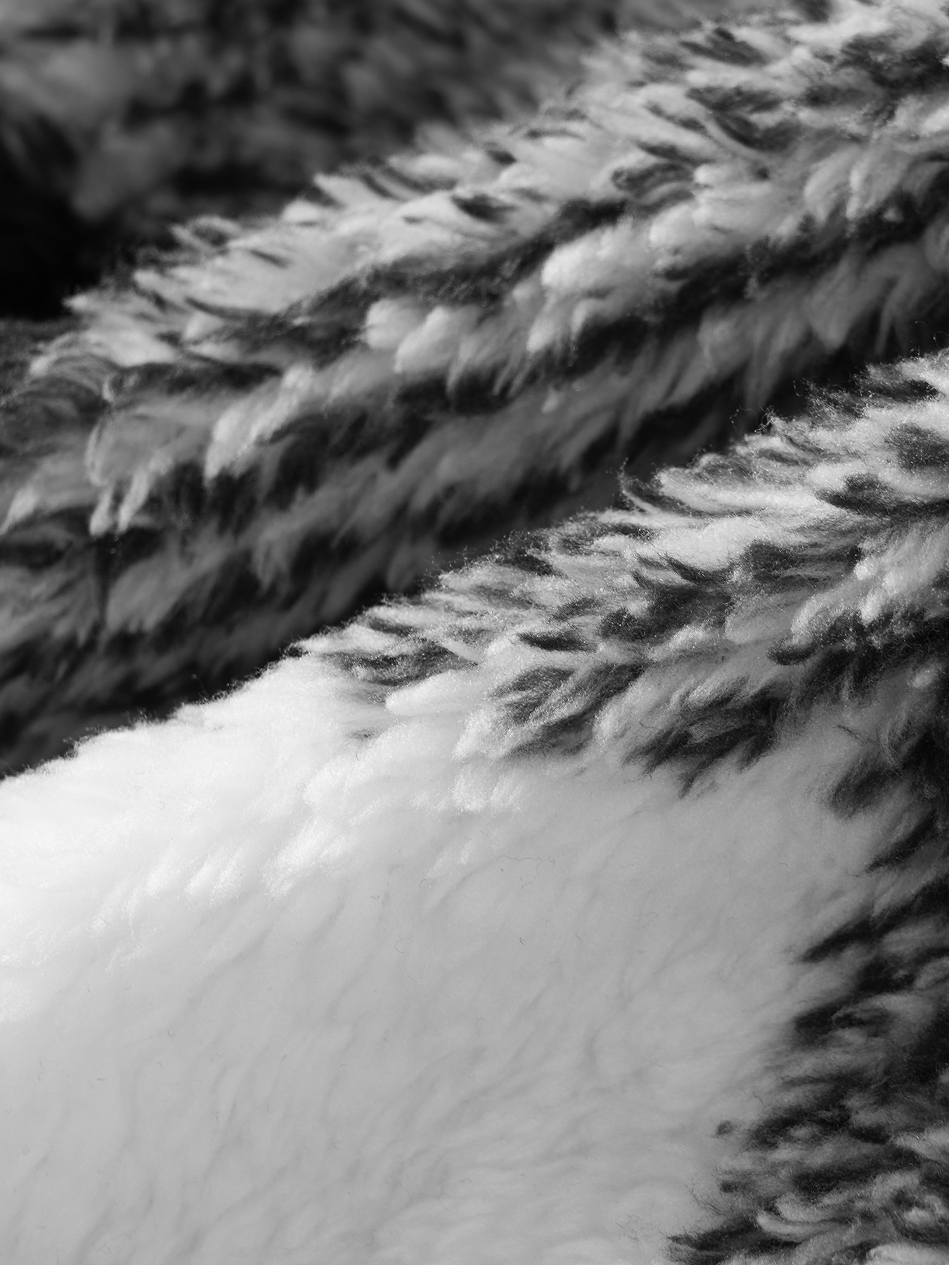 F97d7a63 E598 4616 988d C3123580fbca